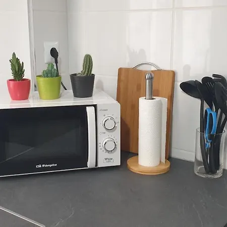 Leman Apartment Benicarlo